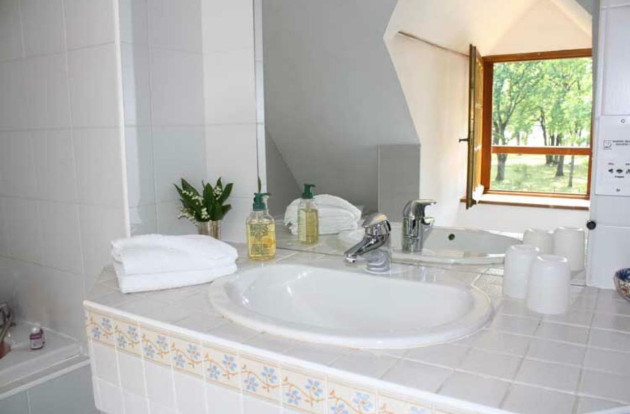 Le Controis-en-Sologne La Rabouillere Bed & Breakfast エクステリア 写真